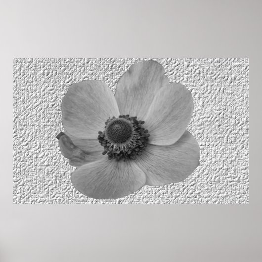 Impression vintage de la fleur d'anémone (Devant)
