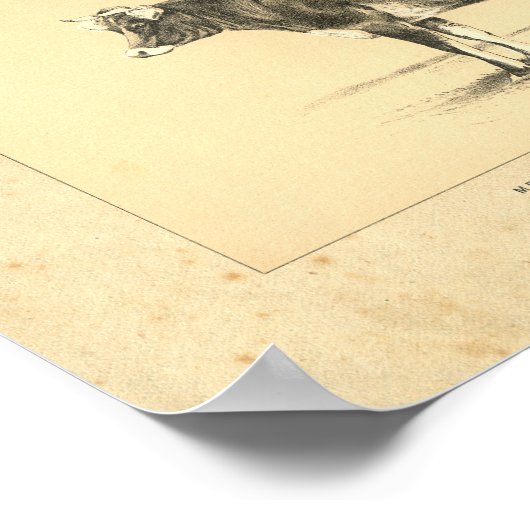 Impression vintage de vaches Jersey 1888 (Coin)