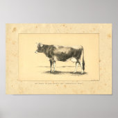 Impression vintage de vaches Jersey 1888 (Devant)