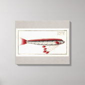 Impression Vintage d'Oarfish géant (Recto)