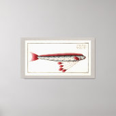 Impression Vintage d'Oarfish géant (Recto)