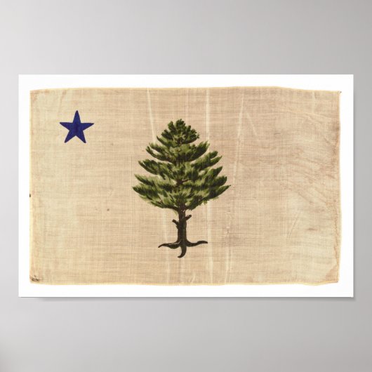 Impression vintage du drapeau du Maine 1901 (petit (Devant)