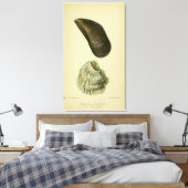 Impression vintage d'une coque britannique (Insitu(Chambre))