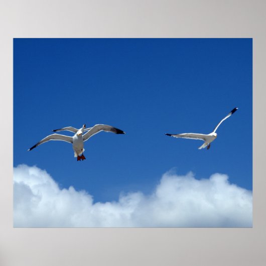 Impression Wind Masters (Devant)