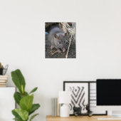 Impression Young Wild Rat (Bureau à domicile)