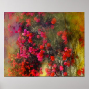 Impressionisme Red Bougainvillea Poster