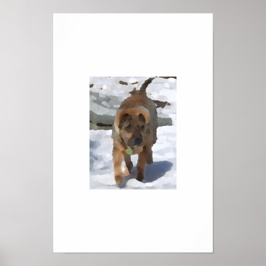 Impressionist Sharpei Poster (Voorkant)