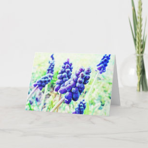 Impressionist Style Grape Hyacinth Flower Art Kaar Kaart