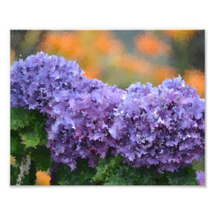 Impressionistisch Hydrangeas Foto afdrukken Afdruk