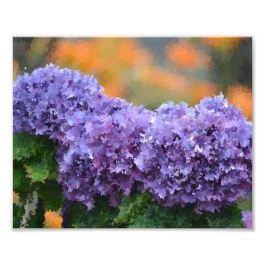 Impressionistisch Hydrangeas Foto afdrukken Afdruk (Voorkant)