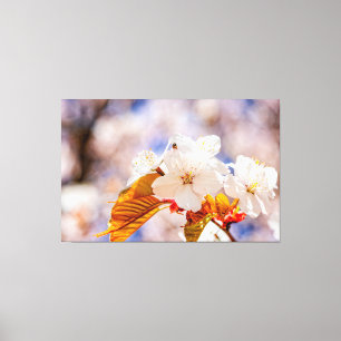 Impressionistische kersenbloesems op een zonnige l canvas afdruk