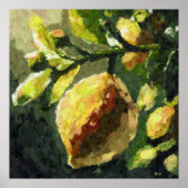 Impressionistische Lemons Hanging from Branch Poster (Voorkant)