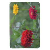 Impressionniste Zinnia Magnet (Vertical)