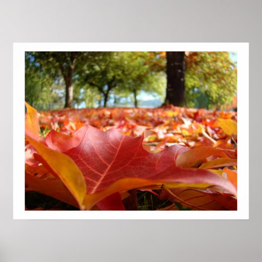 Impressions d'art de feuilles d'automne Arbres d'a (Devant)