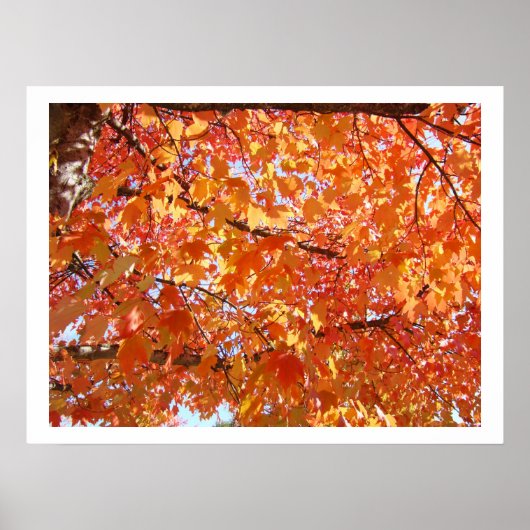 Impressions d'art de feuilles d'automne impression (Devant)
