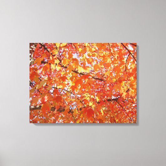 Impressions d'art de feuilles d'Orange Tree cadeau (Recto)
