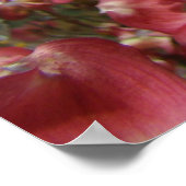 Impressions d'art de fleurs de cornouiller du prin (Coin)