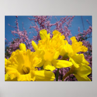 Impressions d'art de fleurs de jonquilles jaunes F