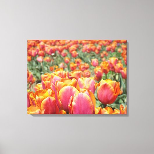 Impressions d'art de fleurs de tulipes orange rose (Recto)