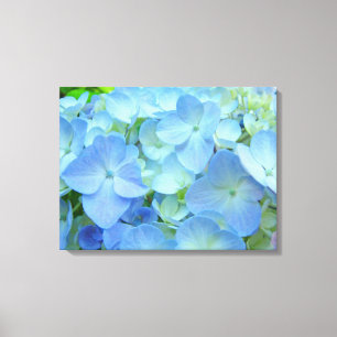 Impressions d'art de fleurs d'hortensia bleu paste