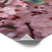 Impressions d'art de fleurs roses de printemps de (Coin)