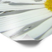 Impressions d'art de photographie de fleurs de mar (Coin)