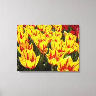 Impressions d'art décoratif Fleurs de tulipes jaun