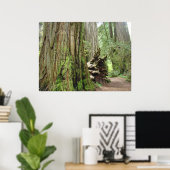 Impressions d'art des arbres de la forêt de séquoi (Bureau à domicile)
