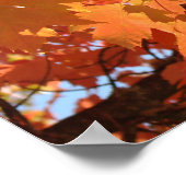 Impressions d'art Feuilles d'automne Feuilles d'ar (Coin)