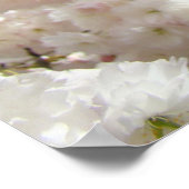 Impressions d'art fin de fleurs de cerisier rose d (Coin)