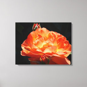 Impressions d'art fin de panneau de rose Décor Ros