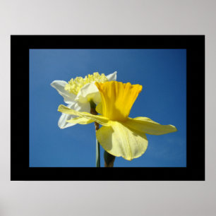 Impressions d'art fin de printemps Jonquille jaune