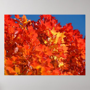 Impressions d'art fin Feuilles d'automne Orange Ro