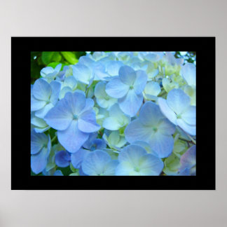 Impressions d'art fin Fleurs d'hortensia bleu flor
