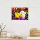 Impressions d'art fines de fleurs de tulipes Festi (Cuisine)