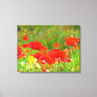 Impressions d'art sur toile Fleurs de pavots rouge