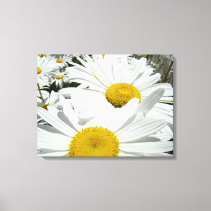 Impressions d'art sur toile florale Fleurs de marg