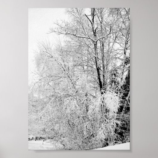 Impressions de Blancs d'Hiver (Devant)