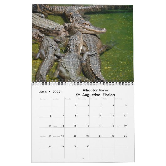 Impressions de Floride Calendrier 2026 (Jun 2027)