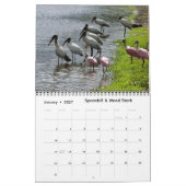 Impressions de Floride Calendrier 2026 (Jan 2027)