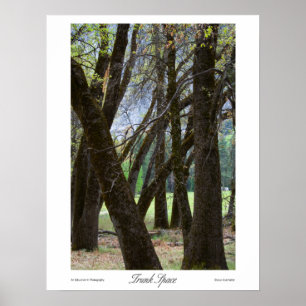 Impressions de l'espace du coffre