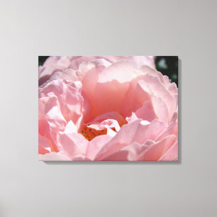 Impressions de photographie de jardin de fleurs de