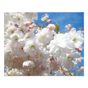 Impressions de photographie de nature florale Fleu