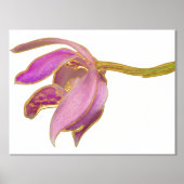 Impressions Dorure Ajouter un devis / Orchidée à pignon Arrière - pla (Recto)