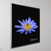Impressions Dorure Argent Accent Blue Water Lily Imprimer l'affiche (Poser)