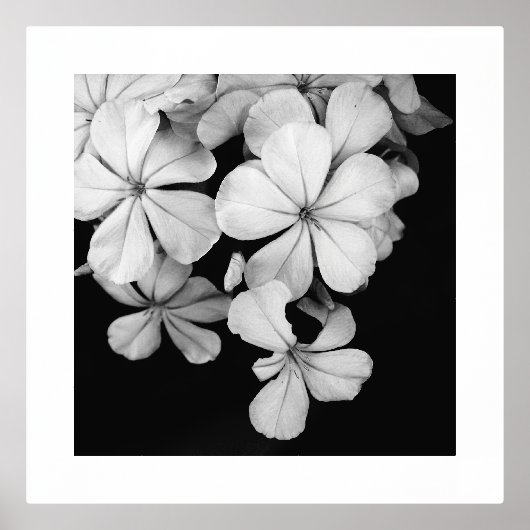 Impressions Dorure b&w carte postale (Recto)