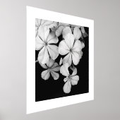Impressions Dorure carte postale n&b (Poser)