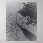 IMPRESSIONS DORURE  IMPRIMANTE DE FOILE ART ET DESIGN (Recto)