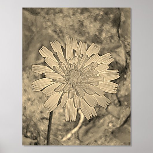 IMPRESSIONS DORURE  IMPRIMER L'ART ET LA CONCEPTION DES POSTES (Recto)