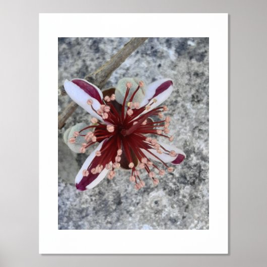 IMPRESSIONS DORURE  IMPRIMER L'ART ET LA CONCEPTION DES POSTES (Recto)